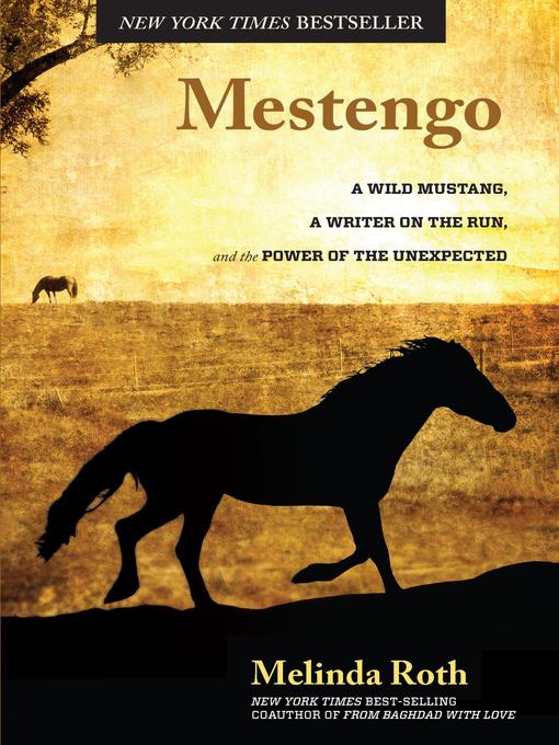 Title details for Mestengo by Melinda Roth - Available